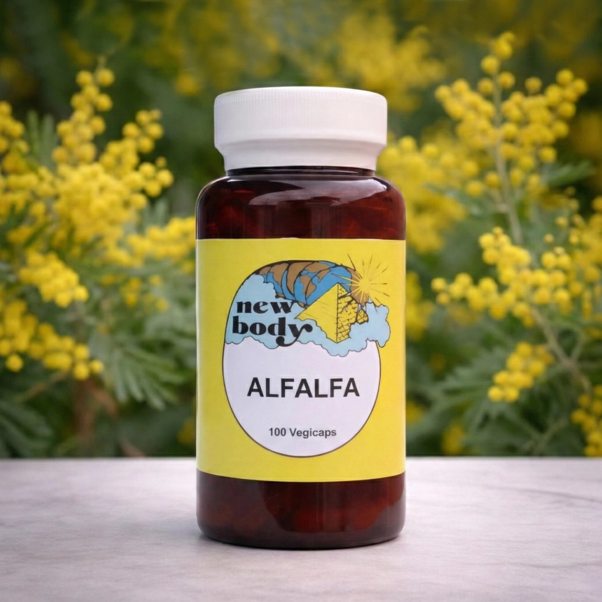 ALFALFA (Medicago sativa)