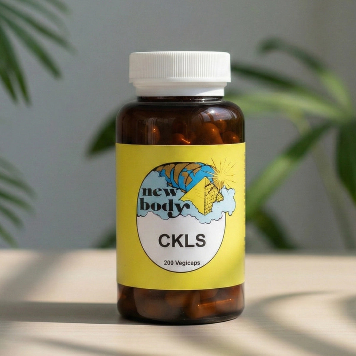 CKLS (Colon, Kidney, Liver, Spleen)