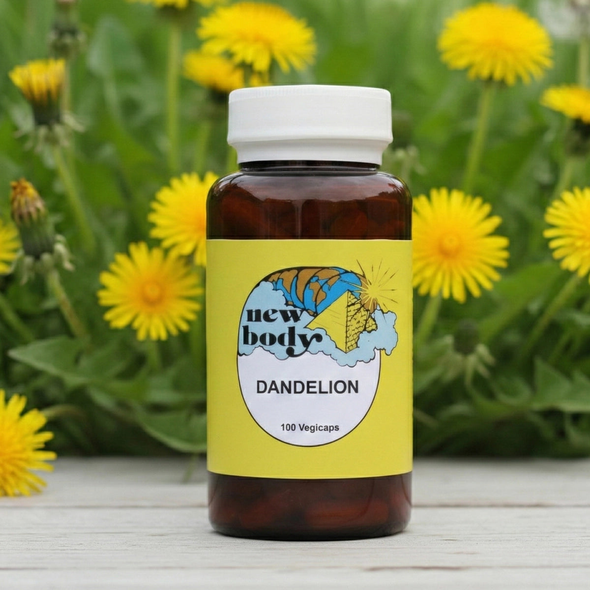 DANDELION (Taraxacum Officinale)