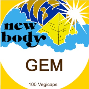 GEM (GEMINI)