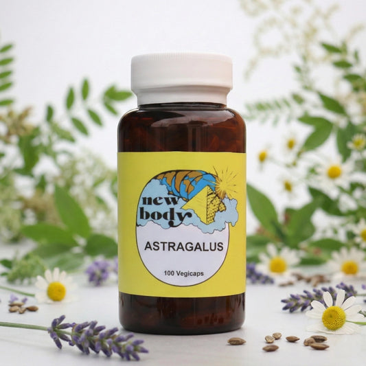 ASTRAGALUS (Astragalus Membranaceus)