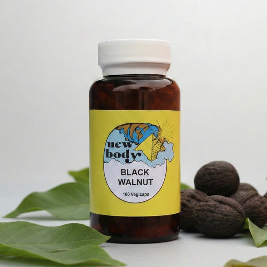 BLACK WALNUT (Juglans Nigra)