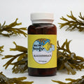 BLADDERWRACK