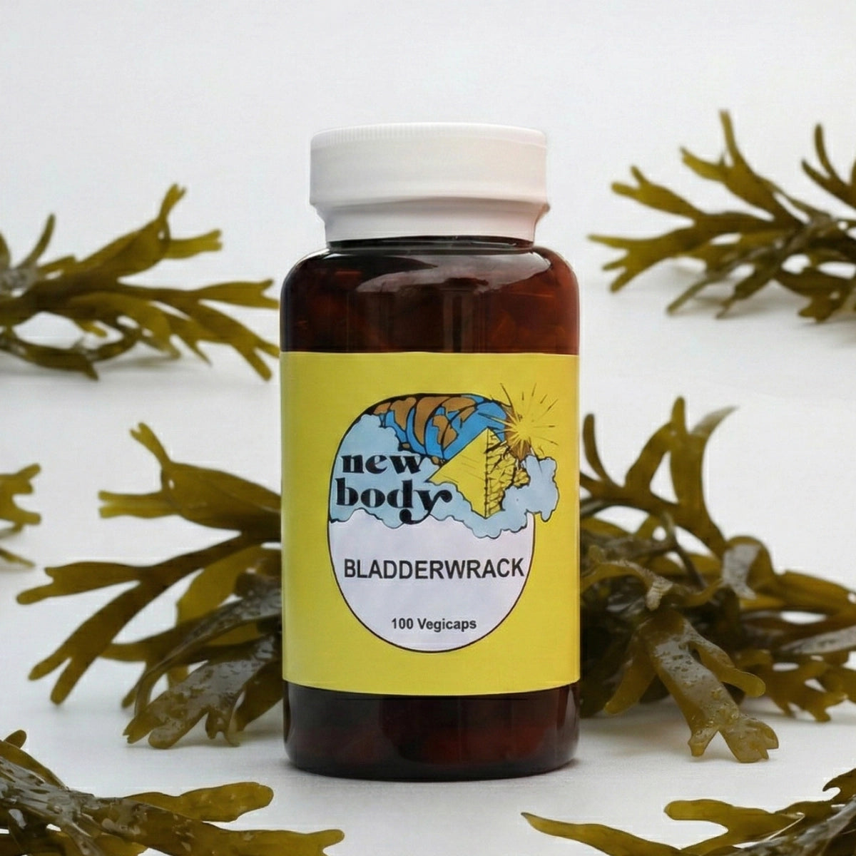 BLADDERWRACK