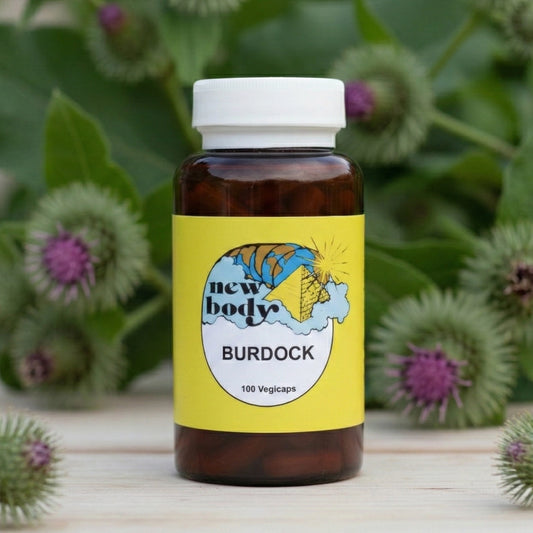 BURDOCK (Arctium Lappa)