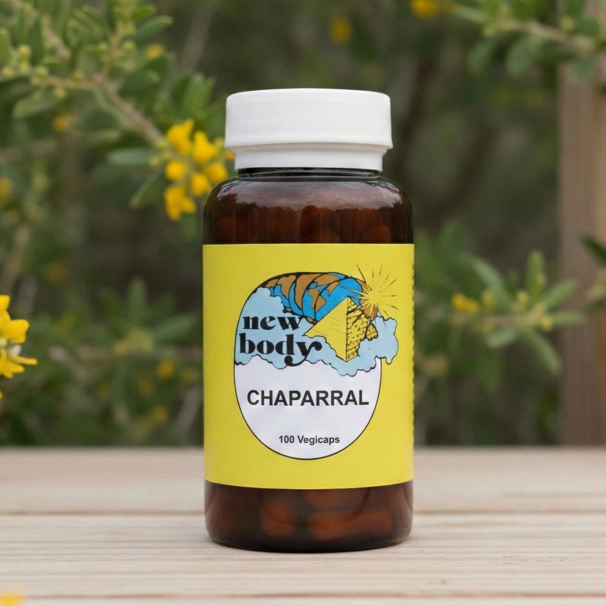 CHAPARRAL (Larrea Tridentata)