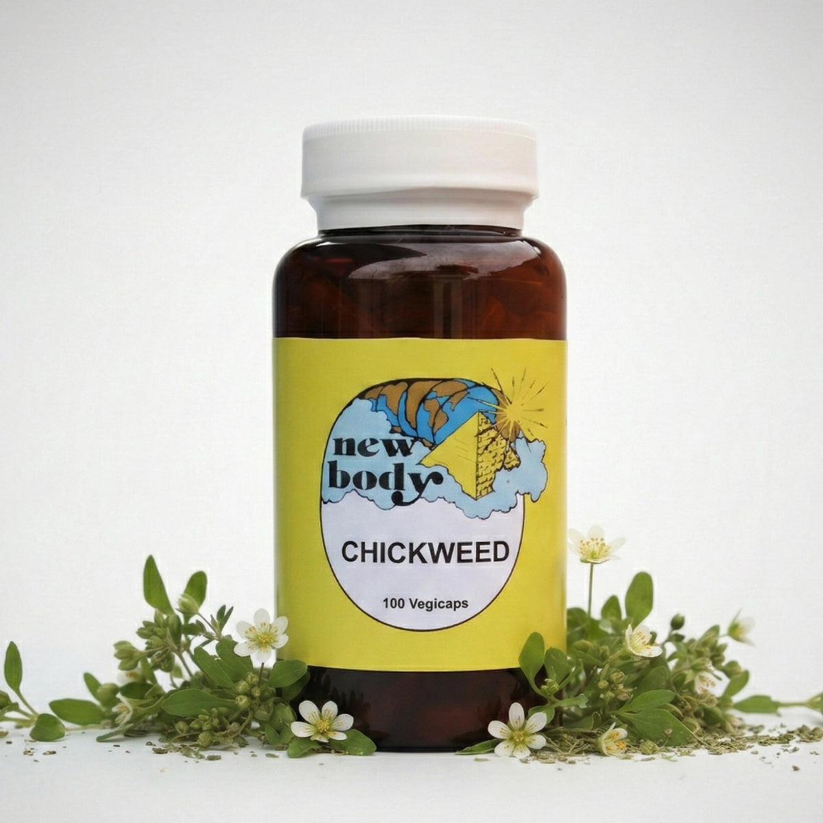 CHICKWEED (Stellaria Media)