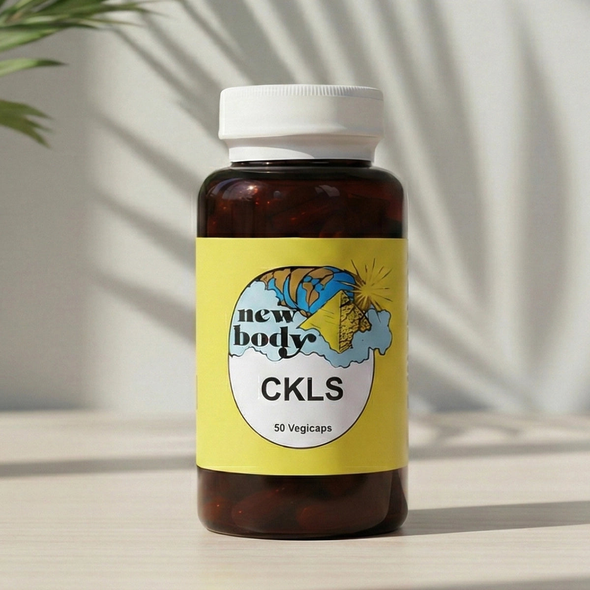 CKLS (Colon, Kidney, Liver, Spleen)