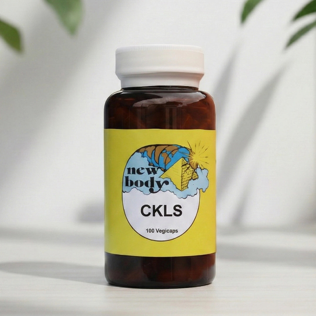 CKLS (Colon, Kidney, Liver, Spleen)
