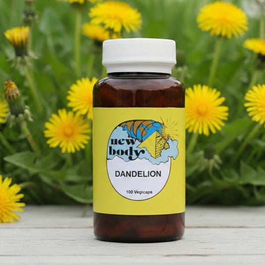 DANDELION (Taraxacum Officinale)