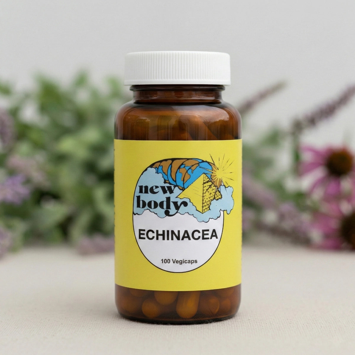 ECHINACEA (Echinecea Angustifolia)