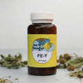 FE-Y (Forever Young)