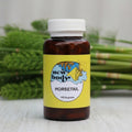 HORSETAIL (Equisetum Arvense)