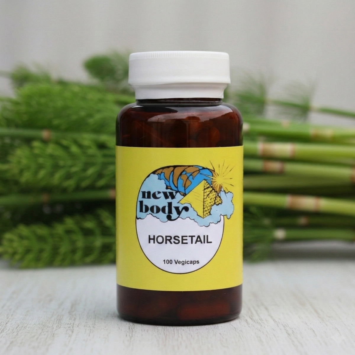 HORSETAIL (Equisetum Arvense)