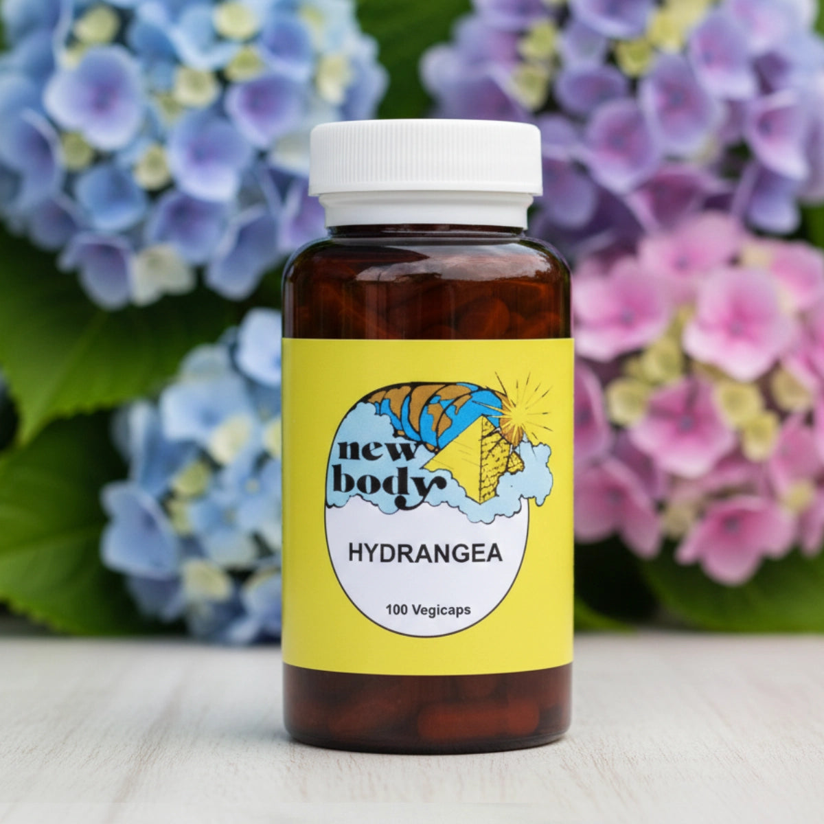 HYDRANGEA (Hydrangea Aborescens)