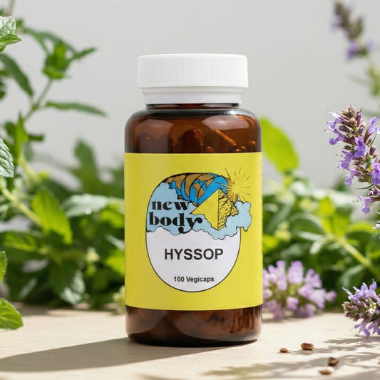 HYSSOP (Hyssopus Officinalis)