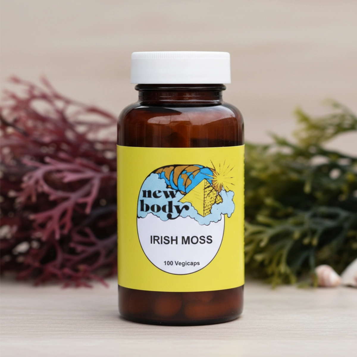 IRISH MOSS (Chondrus Cripus)