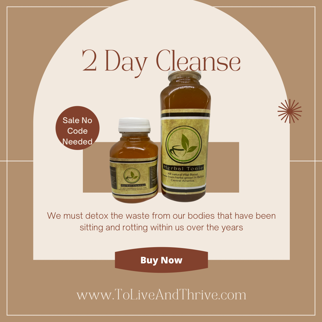 2 Day Cleanse